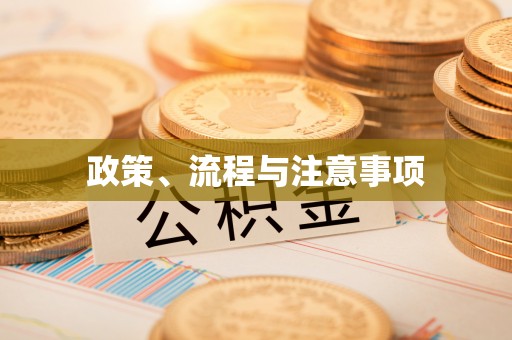 泾川政策、流程与注意事项