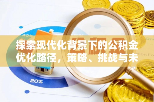 泾川探索现代化背景下的公积金优化路径，策略、挑战与未来展望
