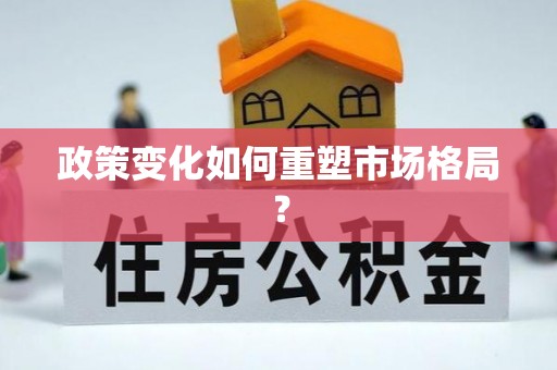 泾川政策变化如何重塑市场格局？