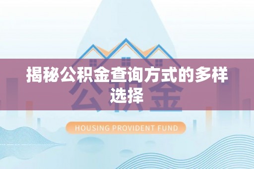 泾川揭秘公积金查询方式的多样选择