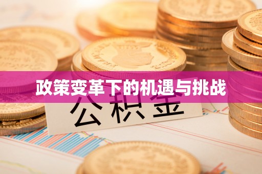 泾川政策变革下的机遇与挑战