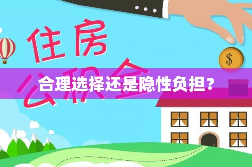 泾川合理选择还是隐性负担？