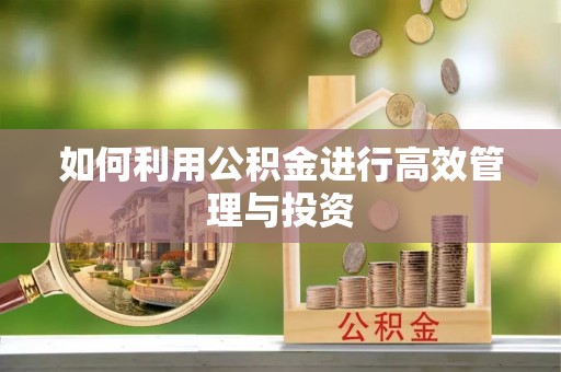 泾川如何利用公积金进行高效管理与投资