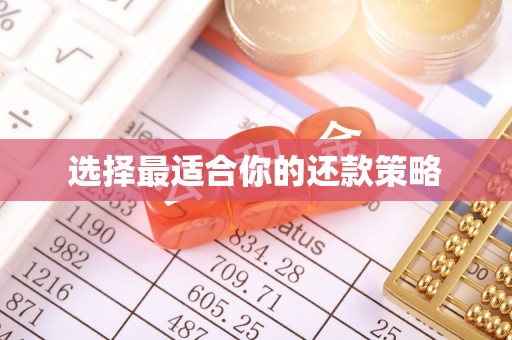 泾川选择最适合你的还款策略
